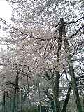 080330_1614~0002-0001.jpg