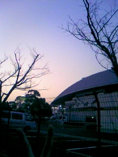 081230_165115.JPG